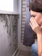 Person looking at a wall covered in mold, appearing concerned in a room with a window and curtain.