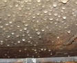 high crawl space humidity