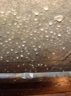 high crawl space humidity