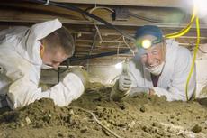 Mike helps the groundworks team clear out a basement