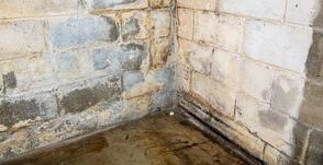 Damp, moldy concrete walls in a basement corner with water stains and discoloration.