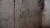 A basement wall with stained, cracked, and peeling paint near a rusty pipe.