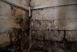 Damp, moldy basement corner with stained walls.