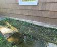 water pooling near damaged foundation
