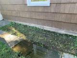 water pooling near damaged foundation
