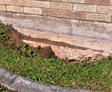 eroded soil near foundation