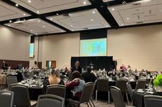 Black Cat Ball Sponsorship