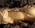 image of geotechnical polyurethane in soil