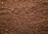 pile of soil