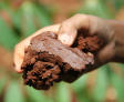 A hand holding a clump of wet clay soil.