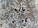 Close-up of honeycomb concrete with cracked surface, exposing rocks and highlighting its rough, weathered texture.