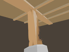 crawl space damaged by termites