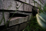 Close-up of a cracked brick wall with grass growing between the gaps.