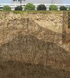 Cross-section of expansive clay soil layers with greenery on top and trees in the background.