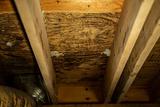 Mold growth, wood rot, and signs of dry rot fungus visible on wooden beams and boards in a crawl space.