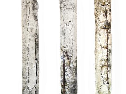 Three vertical, cracked lally columns with exposed rebar stand isolated on a white background.