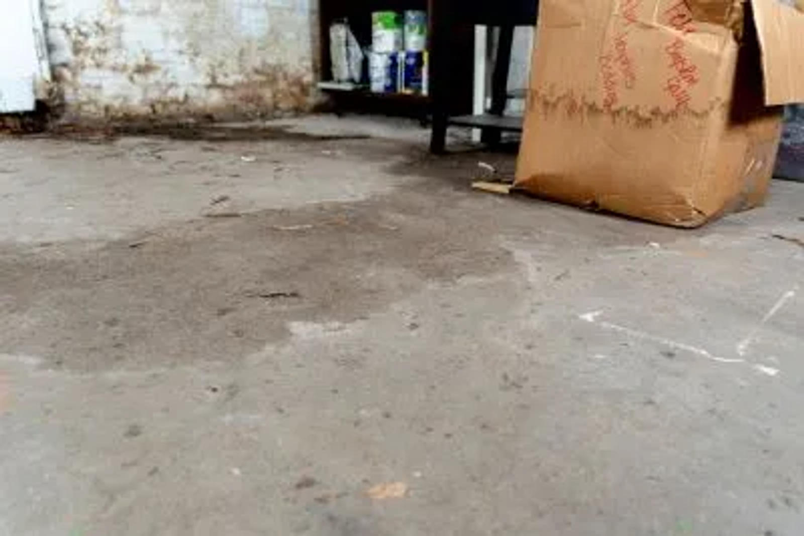 water on basement floor damaging cardboard box