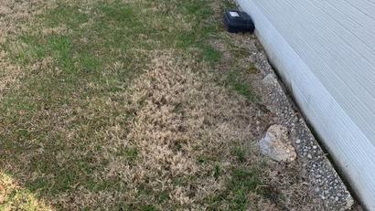A patch of brown grass next to a building with a black box and some rocks by the wall.