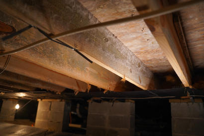 Wooden beams and wires under a house crawl space with concrete block supports, white mold patches, and a single light bulb.