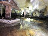 water in crawl space, falling insulation, and damaged wooden supports