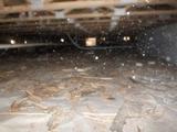 dirty crawl space