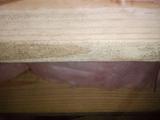black speckles on wooden crawl space supports