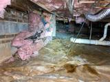 dirty crawl space with standing water, wet insulation, and mold