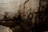 Dark mold growing on the corner walls and floor of a dirty, damp room.