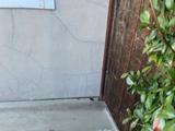 cracks on home's exterior and gap between concrete and wall