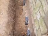 push piers installed under house