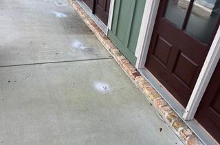 Concrete sidewalk near brick trim shows several white circular stains close to a green and brown building entrance.