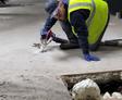 Image of Groundworks Commercial technician injecting hydrophobic polyurethane to stabilize slab on grade and fill voids in soil inside of a parking garage