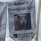 sign at the 2024 Running of the Wools with a logo from Groundworks' Pittsburgh branch, formerly Baker's Waterproofing