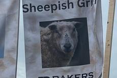 sign at the 2024 Running of the Wools with a logo from Groundworks' Pittsburgh branch, formerly Baker's Waterproofing