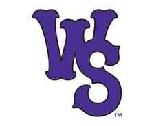 Winston-Salem Dash logo