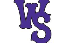 Winston-Salem Dash logo