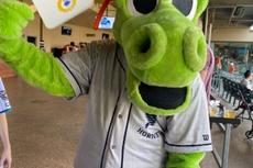 A green dragon mascot in a baseball jersey waves a white fan with a blue and yellow logo indoors.