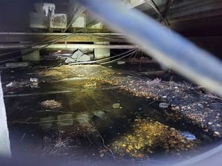 image of crawlspace with standing water that was rotting floor joists before Groundworks performed crawl space encapsulation