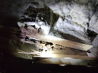 image of floor joists with badly done polyurethane spray foam that caused the joists to rot before Groundworks ripped performed replacement and crawl space encapsulation