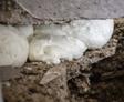 image of polyurethane foam beneath floor slabs during floor slab lifting project from Groundworks
