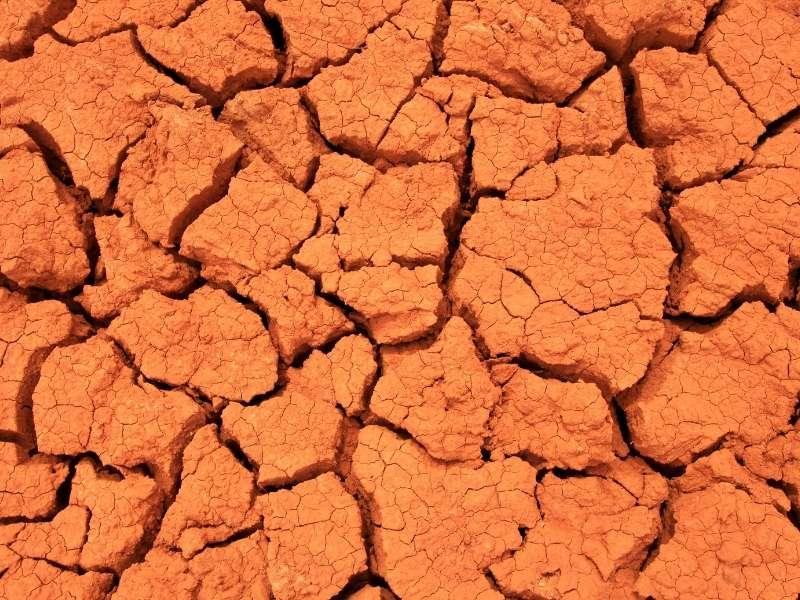 image of drought affected clay soil