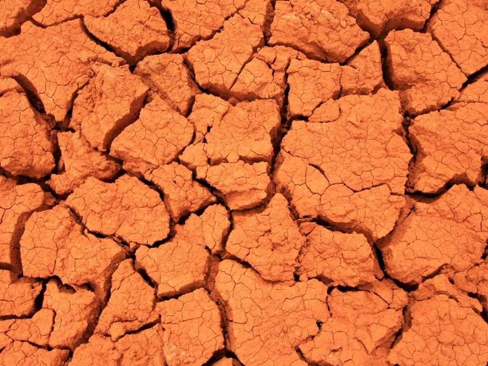 image of drought affected clay soil