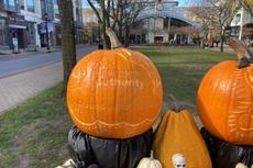 Ohio Basement Authority logo carved into a pumpkin at the Tricks and Treats at Crocker Park event