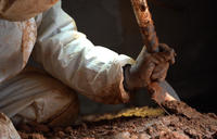 worker digging in crawl space with shovel