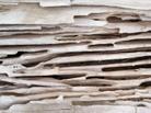 Close-up of termite damage on wooden surface, showing hollowed and grooved patterns.
