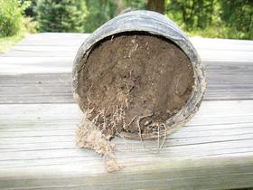 A plant pot tipped on its side showing tangled roots and soil on a wooden surface.