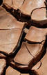 Dry cracked clay soil