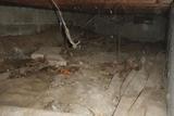 A dimly lit crawl space with a dirt floor, debris, and some hanging wires or roots, now protected by a crawl space vapor barrier that keeps moisture at bay.