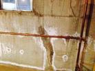 mold growing on joist of basement