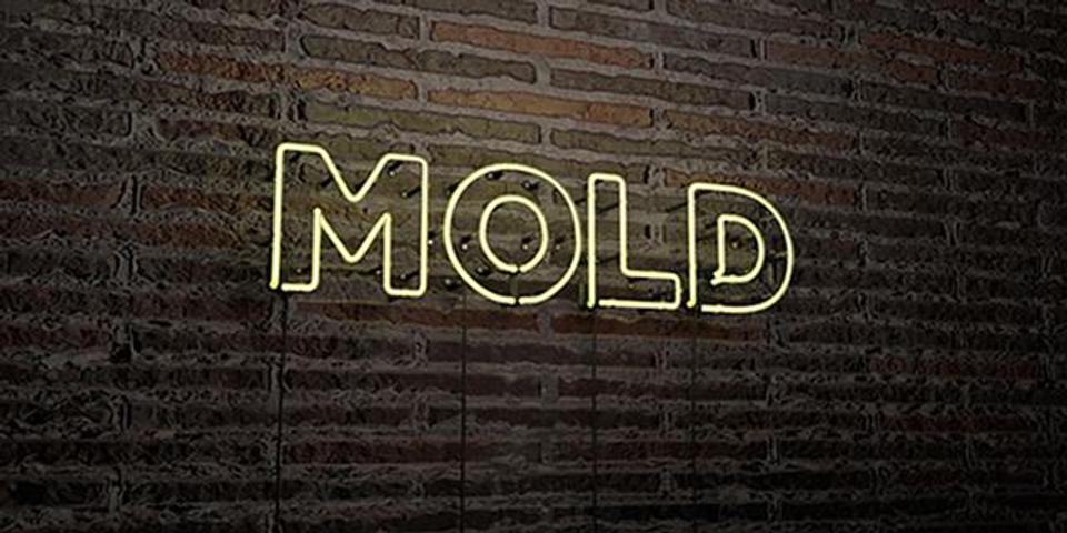Neon sign displaying the word "MOLD" on a brick wall background.